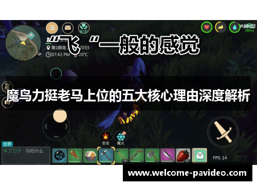 魔鸟力挺老马上位的五大核心理由深度解析 魔鸟力挺老马上位的五大核心理由深度解析
